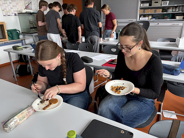 Tempeh selbst gemacht - Projekt im Biologie WPG