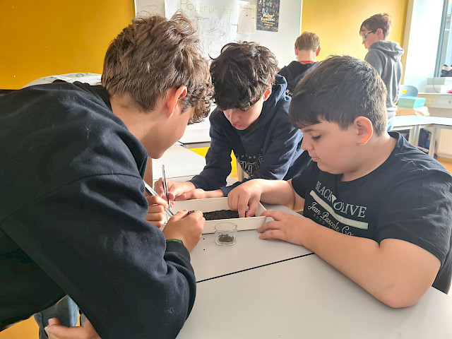 Römische Schätze - Projekt der 2E Klasse